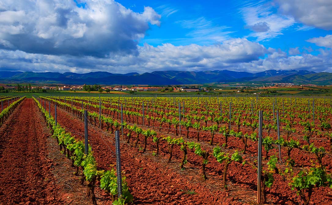 Soils of Rioja, Spain
