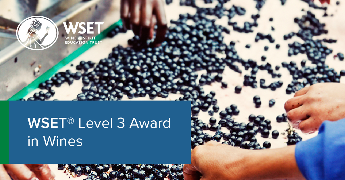 Level 3 Award in Wines - sommelier certification | Wine & Spirit 
