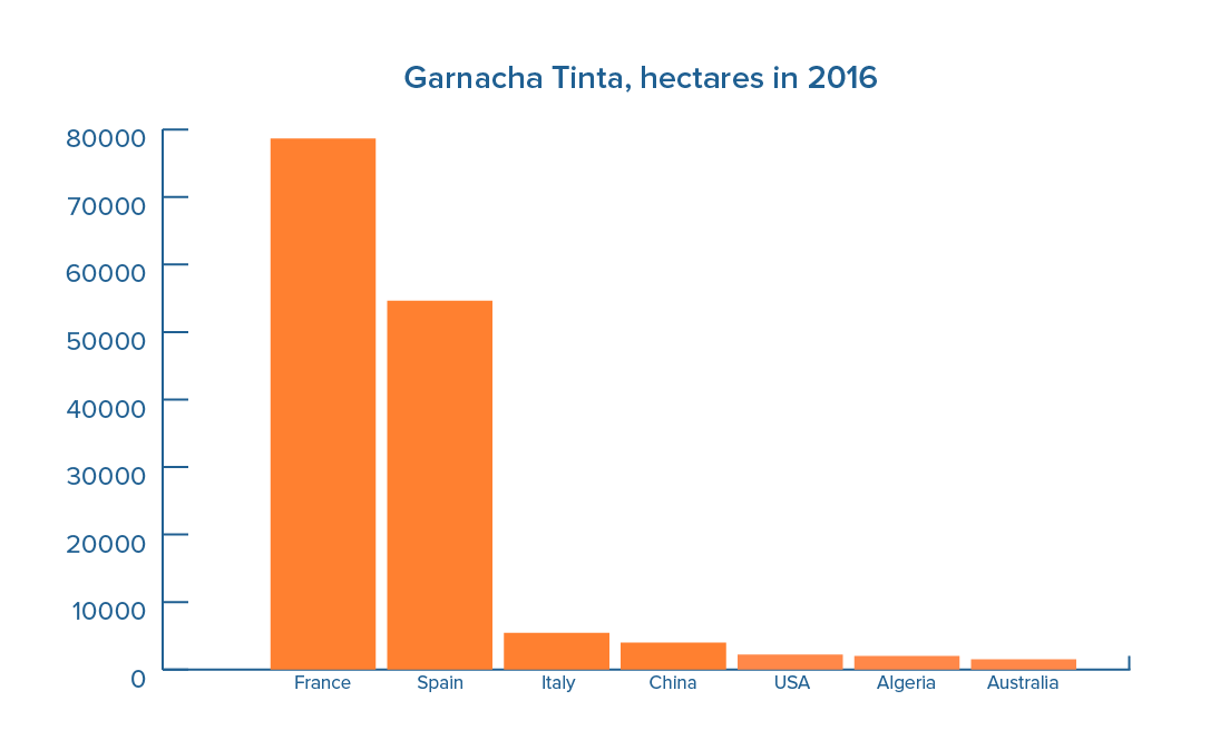 Focus on grape varieties: Garnacha