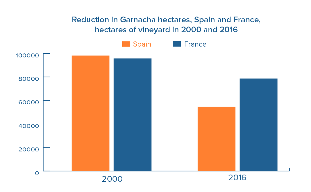 Focus on grape varieties: Garnacha