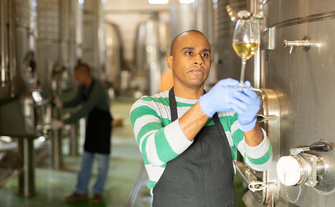 Man in wine production filtration