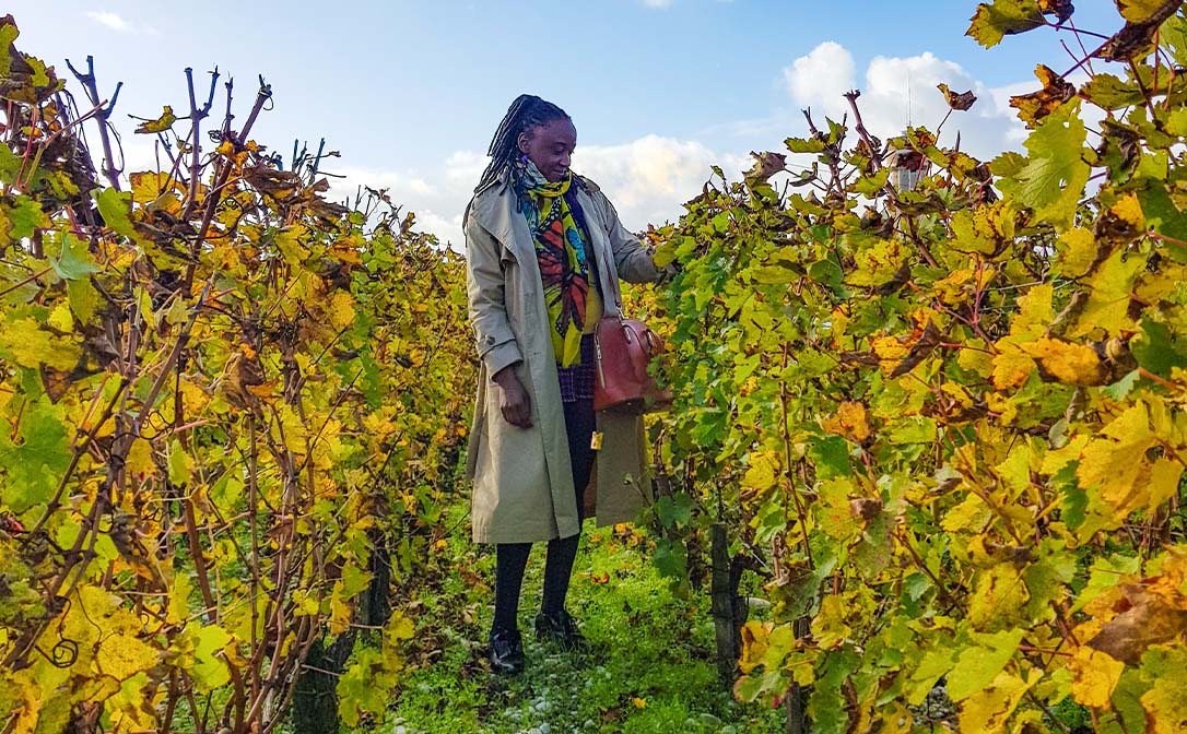 Mulongo in vineyard