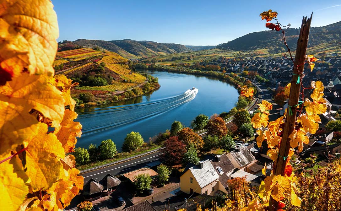 The Mosel Valley in autumn