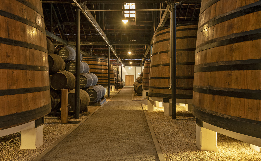 Port wines ageing in oak barrels