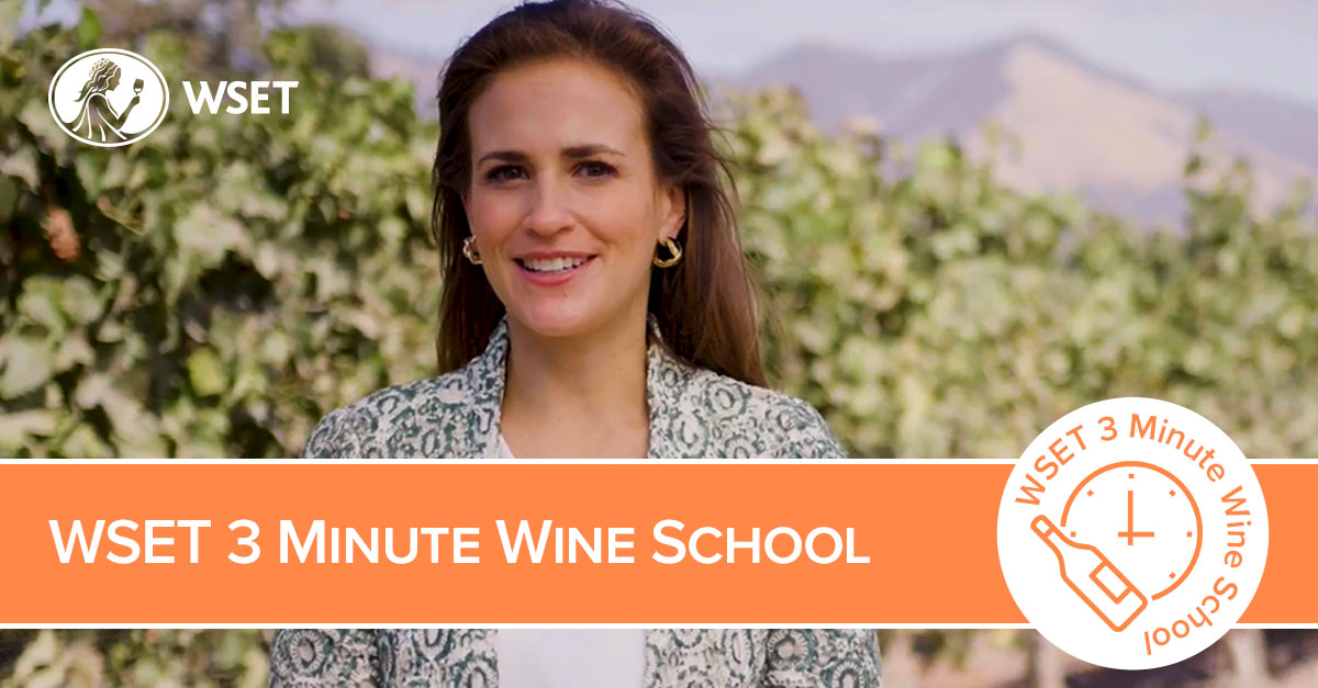 3 Minute Wine School Wine & Spirit Education Trust