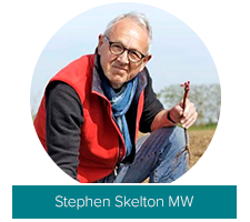 Stephen Skelton MW