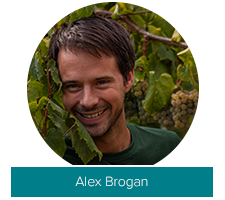 Alex Brogan