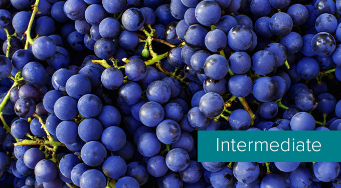 Tasting-level-grapes.jpg