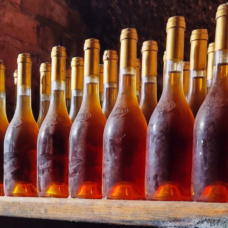 Tokaji decoded: the science behind Hungary's iconic sweet wines