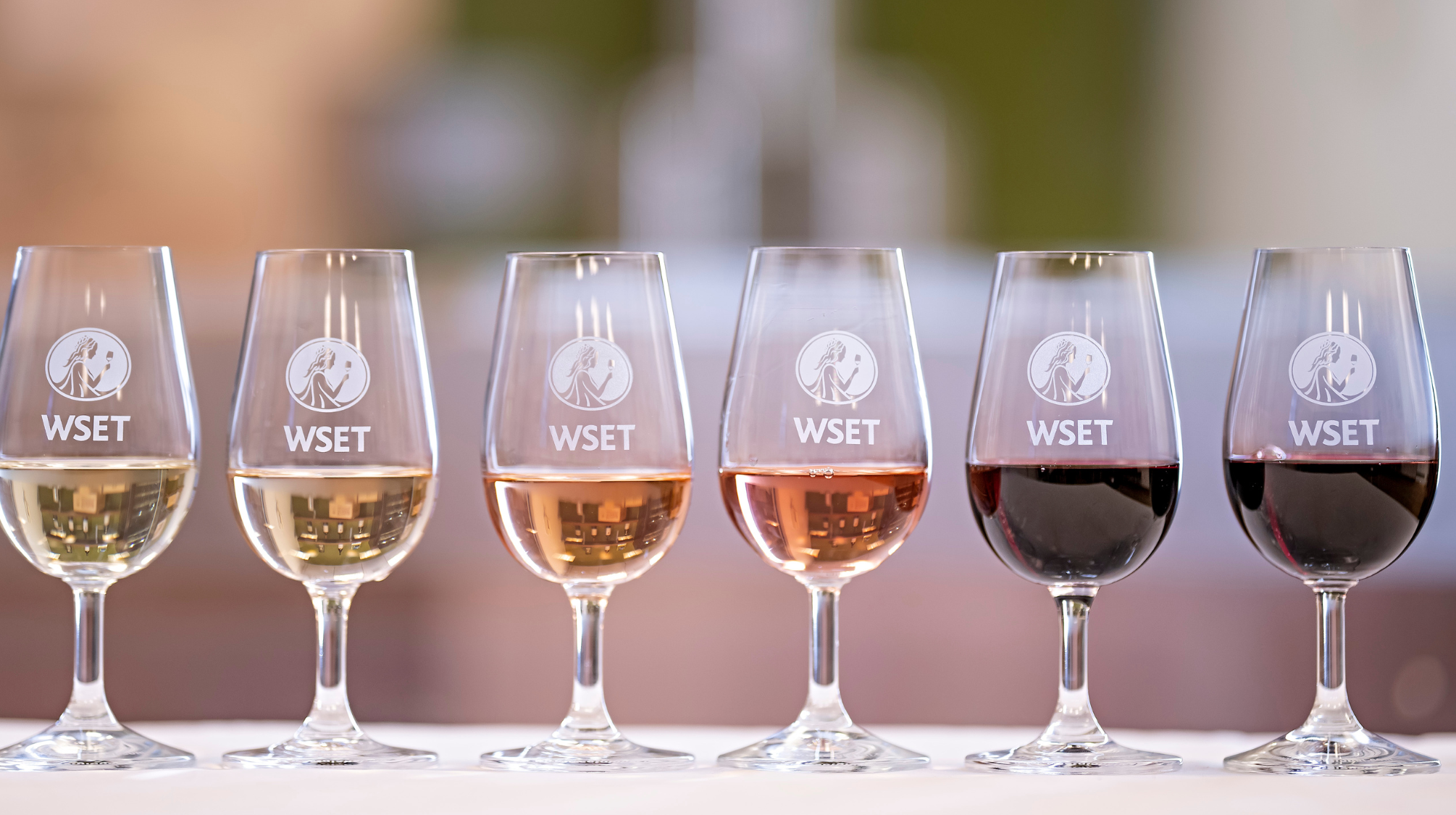 A row of WSET branded glasses