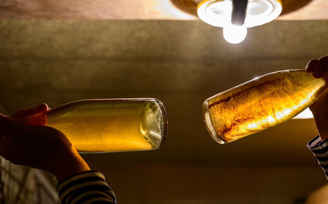 Lees ageing in sparkling wine bottle.