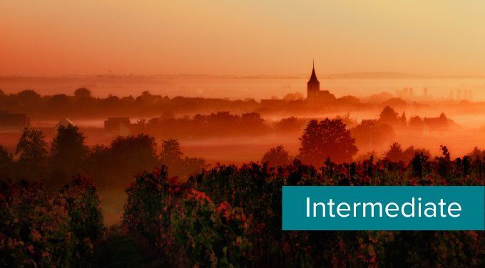 Level template (2).png