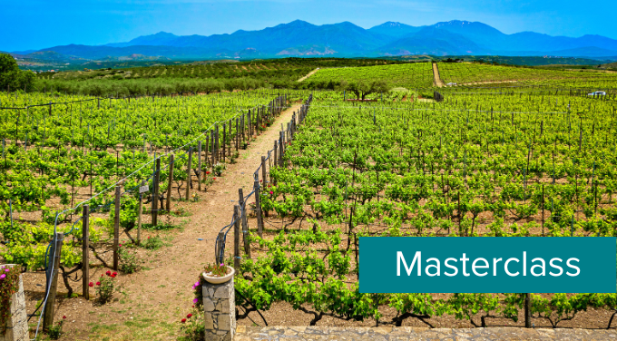 Level template (3).png