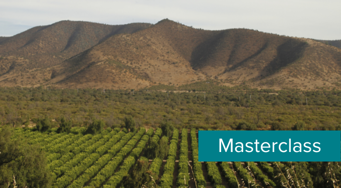 Chile Level template (8).png