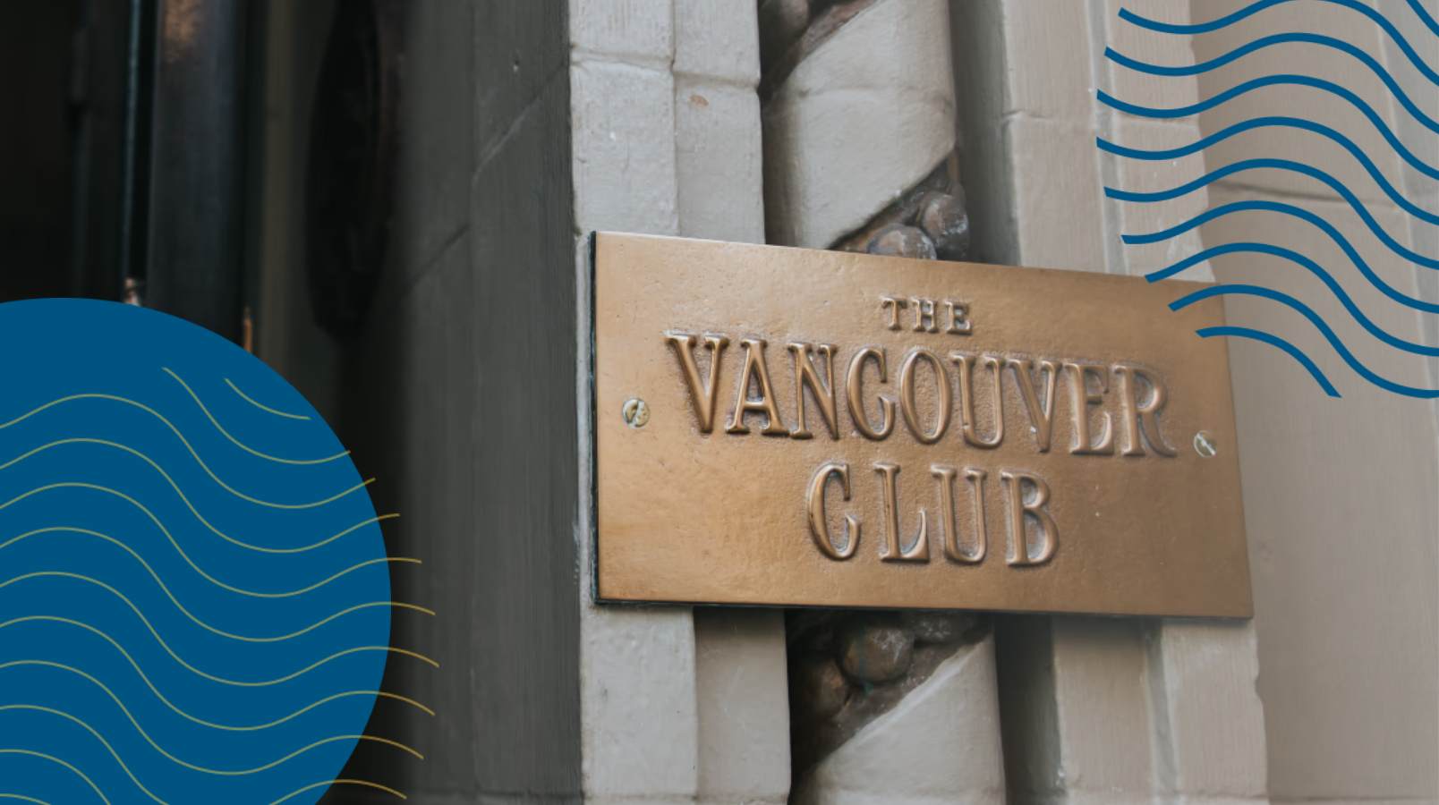 vinos main image.jpg