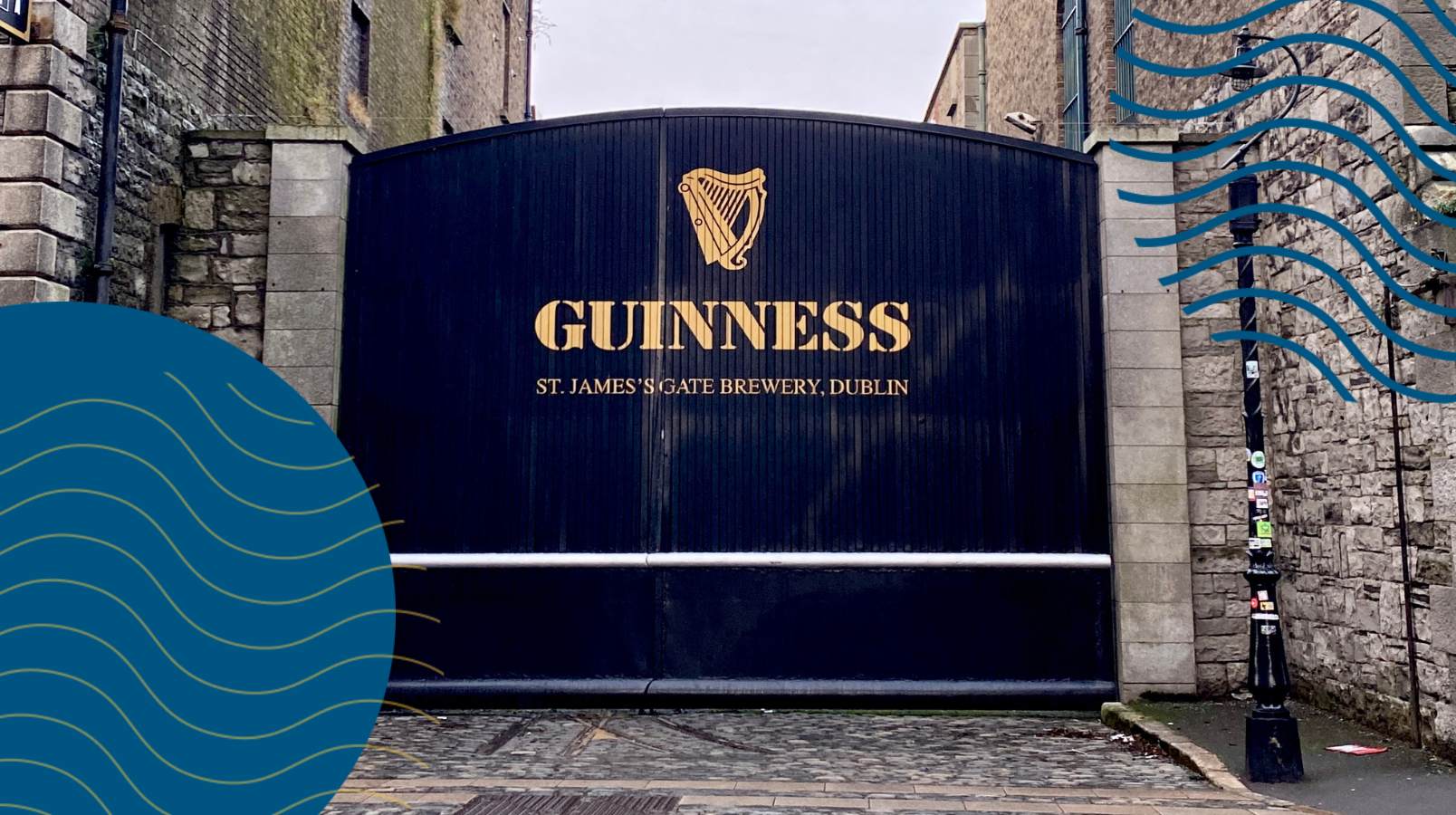 vinos main image (2).jpg