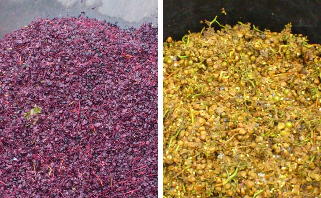 Black and white grape pomace