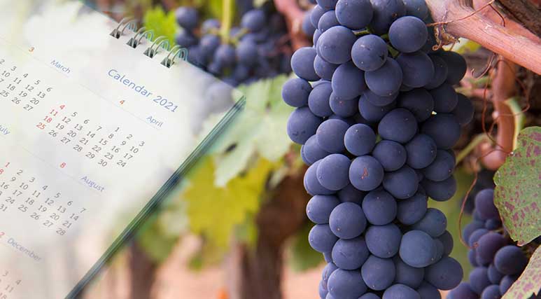 International wine and grapes days calendar 2021 Wine & Spirit