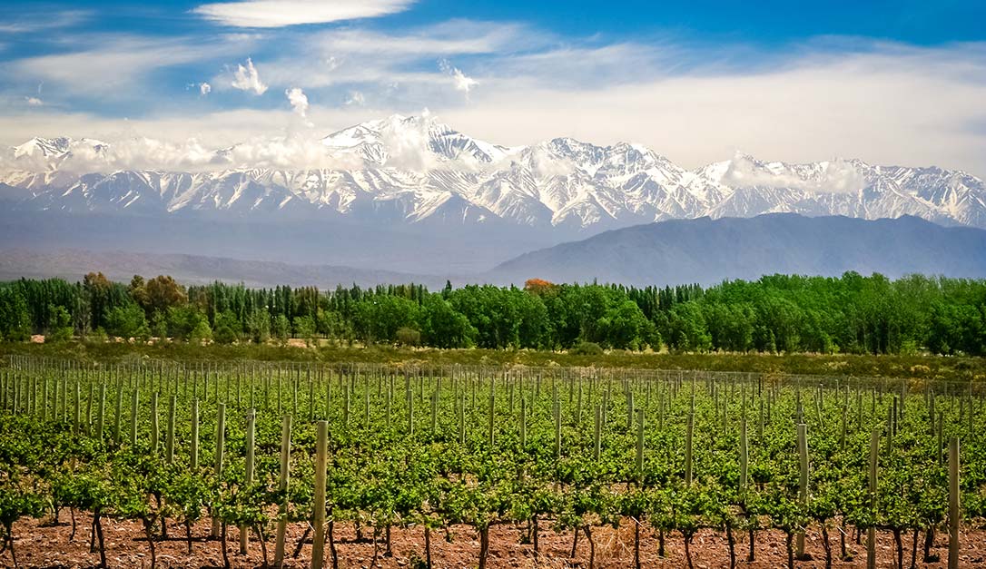 Mendoza mountains