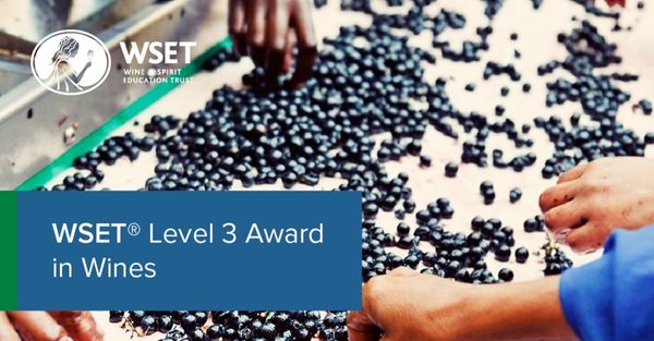 WSET Level 3 Award in Wines